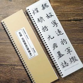 魏碑元倪墓志铭北魏墓志楷书简体旁注临摹创作近距离书法字卡成人
