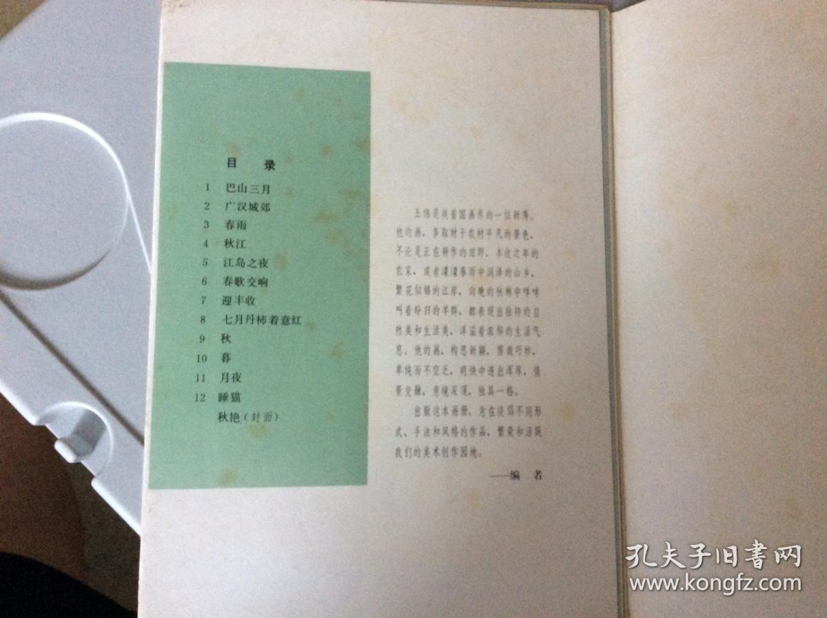 王纬画选(活页12张全，王伟原四川美术出版社社长)