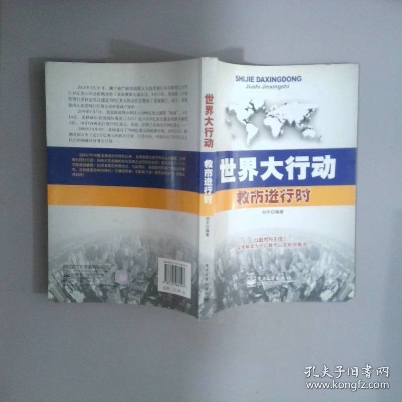 世界大行动：救市进行时