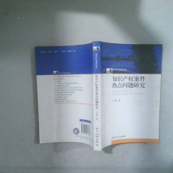 知识产权案件热点问题研究