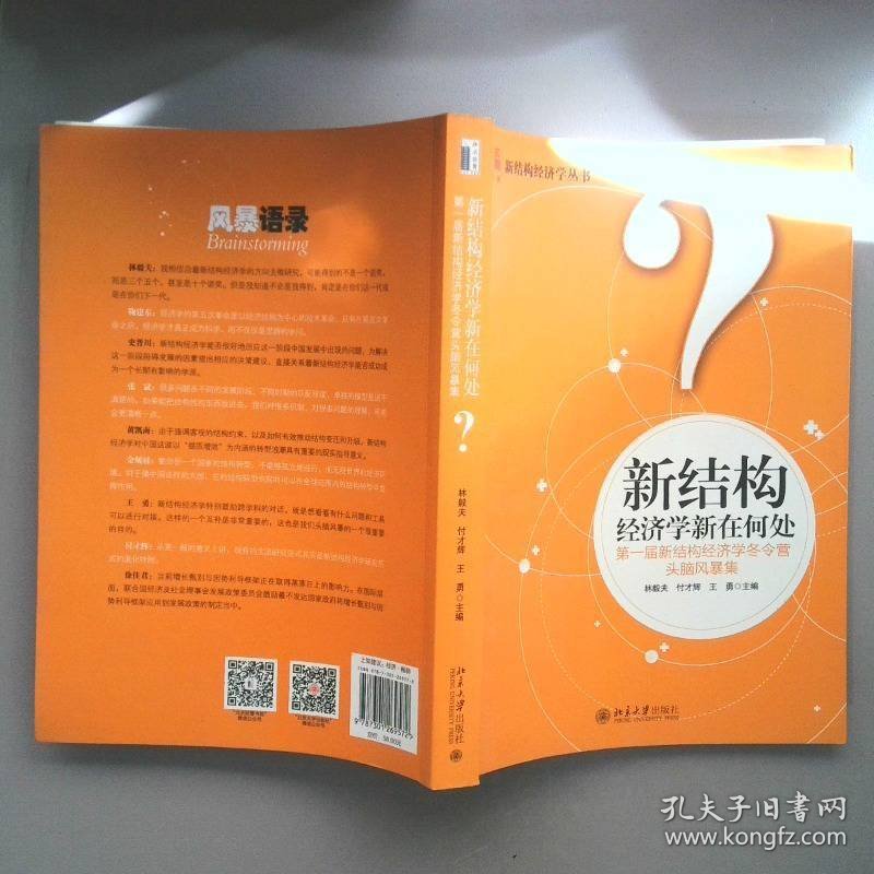 新结构经济学新在何处：第一届新结构经济学冬令营头脑风暴集