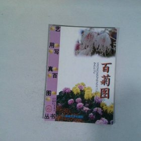 百菊图 天津人民美术出版社
