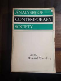 Analyse of Contemporary Society