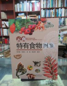 云南特有食物图鉴 一版一印