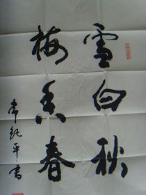 常纪平:书法:雪白秋风后,梅香春雨先