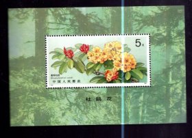 邮票；T16 2【小型张】5元、1991年 、杜鹃花