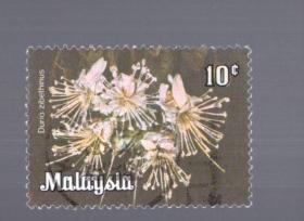 马来西亚 盖销  邮票1枚；花卉。3.4x2.4cm。1980