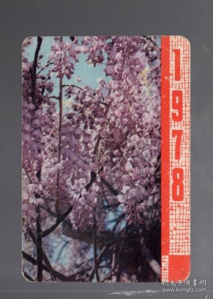 1978年 年历片 1 张；花卉。河北人民出版社  、10x7cm。【2】