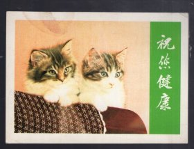 明信片一枚 ；双猫。13x9.3cm。人民画报社。背面留言