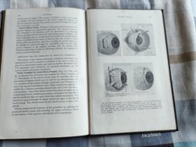 STRABISMUS A CLINICAL HANDBOOK 【斜视临床手册】24开、23.5 x  15.5 cm  、布面精装、1948年版