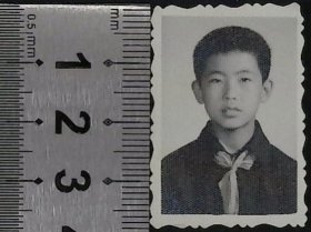 zp011,刘某彦送赵某磊小学毕业留念证件照