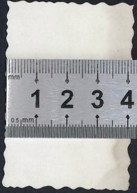 zp008,青年男证件照
