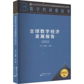 全球数字济发展报告(22)