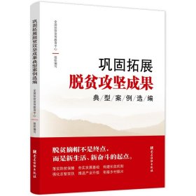 巩固拓展脱贫攻坚成果典型案例选编