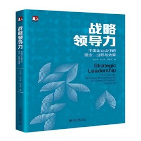 战略领导力：中国企业运作的理念、过程与效果