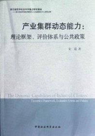 产业集群动态能力-理论框架.评价体系与公共政策