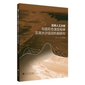 近岸人工沙坝剖面形态演变规律及其水沙运动机制研究