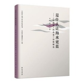 是什么让海水更蓝:《诗探索·作品卷》诗歌