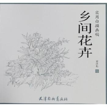 乡间花卉/实用白描画稿