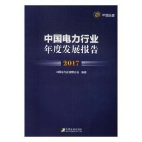 中国电力行业年度发展报告：17