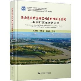 海南岛自然资源空间区划理论与实践——以海口江东新区为例