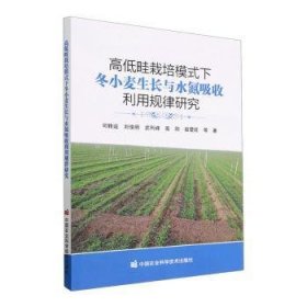 高低畦栽培模式下冬小麦生长与水氮吸收利用规律研究