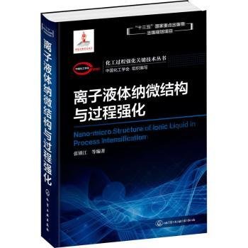 化工过程强化关键技术丛书离子液体纳微结构与过程强化