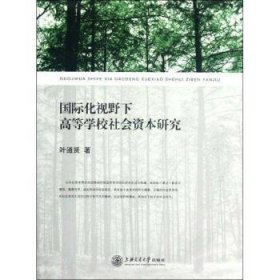 国际化视野下高等学校社会资本研究