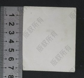 zp082,老照片，1964年上海豫园2个人合影，取景和用光不错，摄影师技术不错，品相好