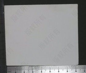 zp038,老照片，1976穿老公安警服在天安门主席追悼大会执勤留影的公安和军人，阵容整齐，全体跨立，背景宏大，意义深远，珍贵老照片