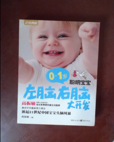 0～1岁聪明宝宝左脑右脑大开发（新版）