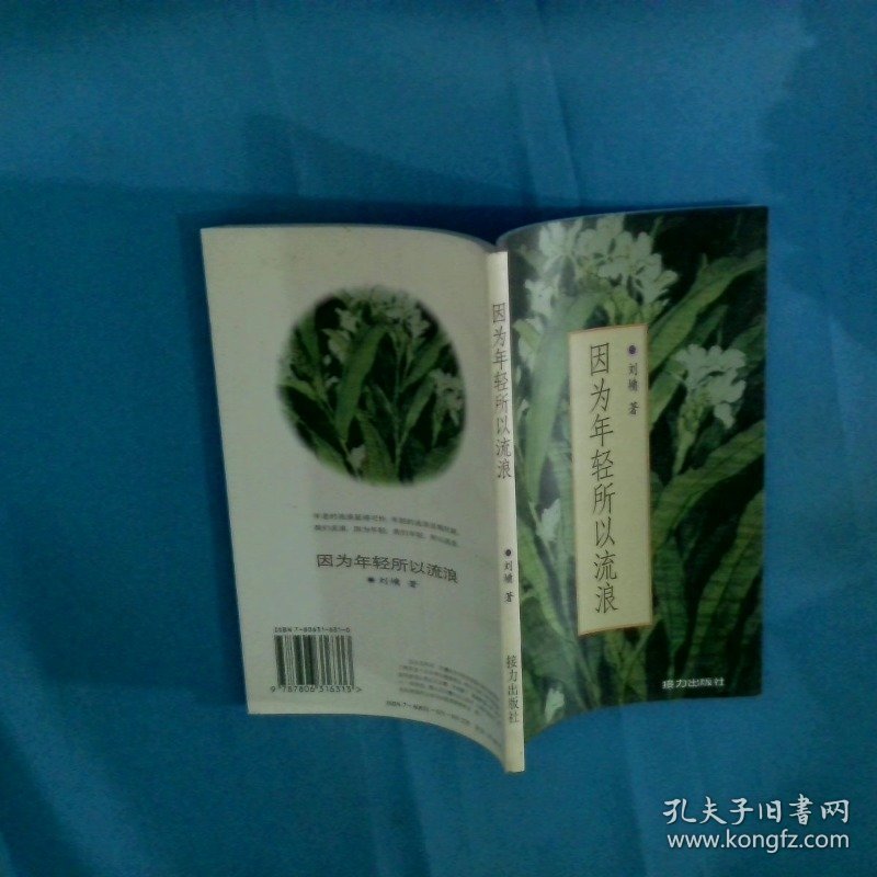 因为年轻所以流浪