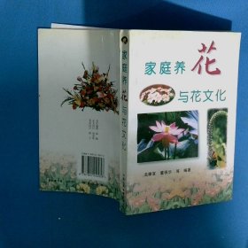 家庭養(yǎng)花與花文化