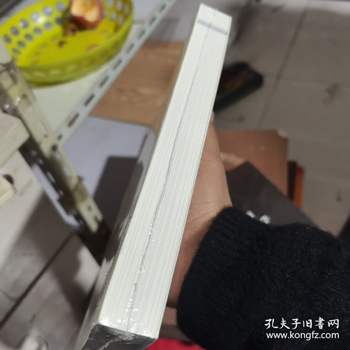 俄罗斯文明的起源与意义：俄罗斯社会与文化译丛