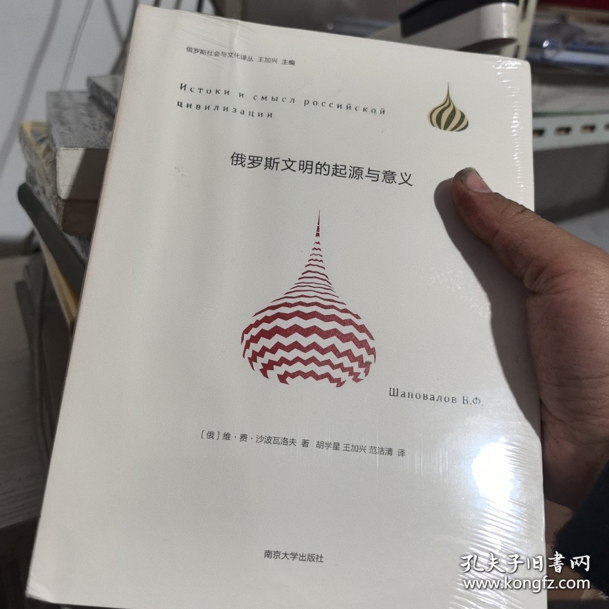 俄罗斯文明的起源与意义：俄罗斯社会与文化译丛