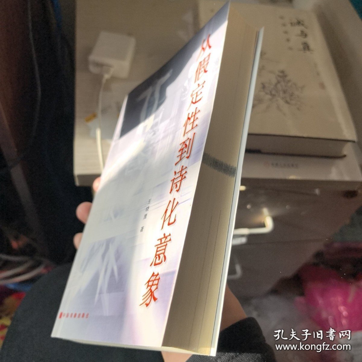 从假定性到诗化意象