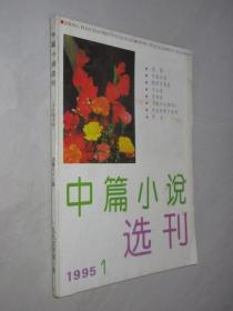 中篇小说选刊          1995年第1期