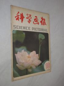 科学画报    1984年第10期