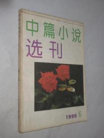 中篇小说选刊          1995年第6期