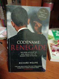 codename renegade