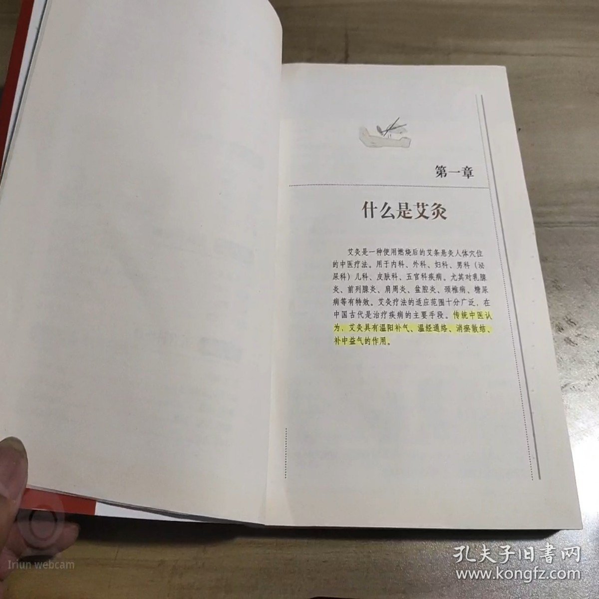 图解常见病艾灸特效疗法