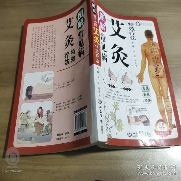图解常见病艾灸特效疗法