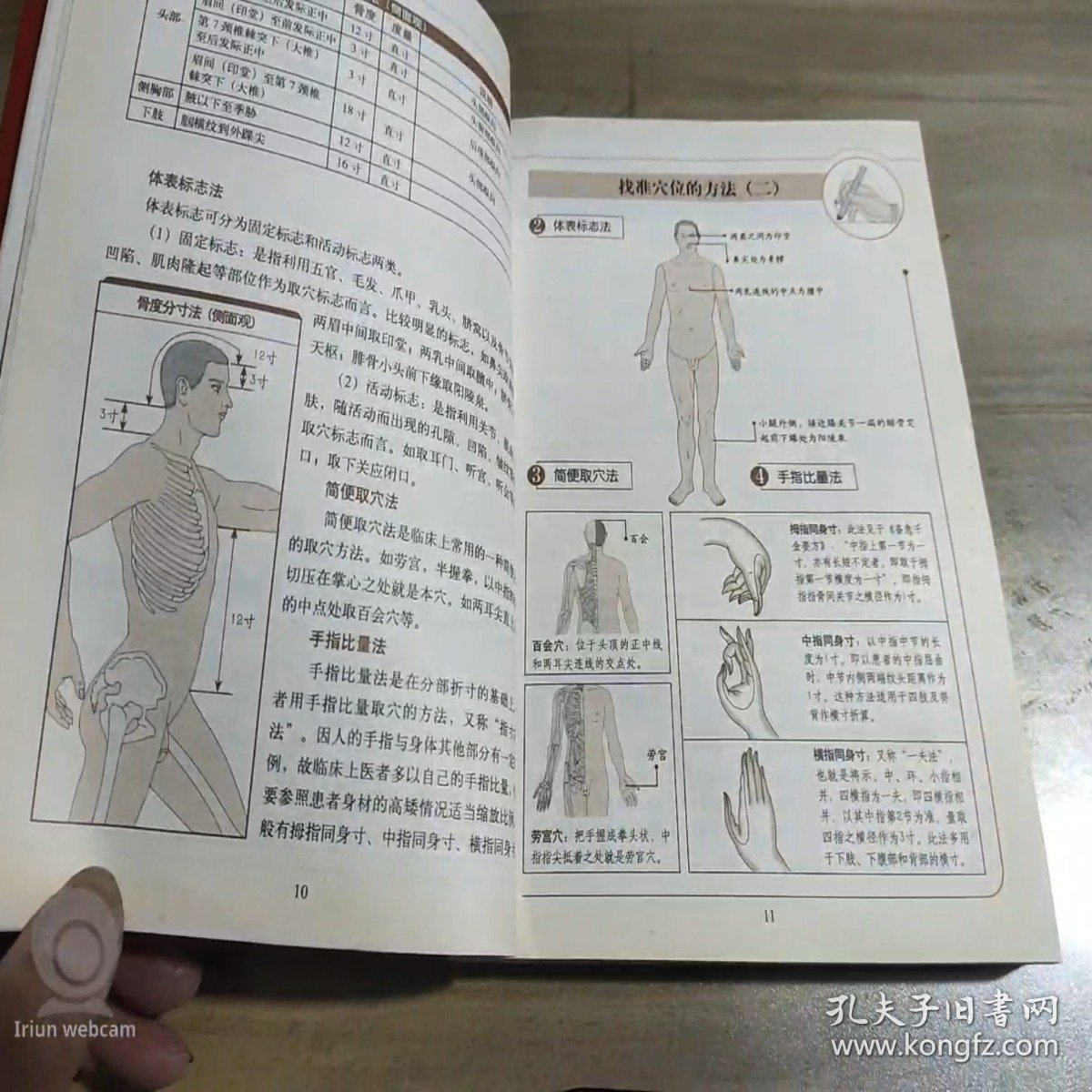 图解常见病艾灸特效疗法