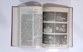 生物学通报，期数：1-12，cwg_wwqk_3