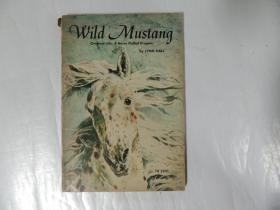 wild mustang  野马