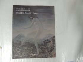 同行：四川美术学院油画系教师作品集  罗晓航