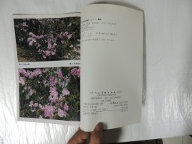 艺用写真百图丛书：野花谱（5）