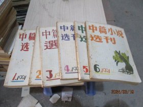 中篇小说选刊1991年1-6期全  品如图   36-1号柜