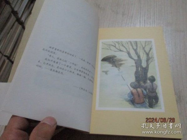 朝花夕拾 手绘插图本 28-7号柜
