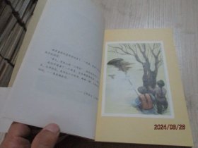 朝花夕拾 手绘插图本 28-7号柜